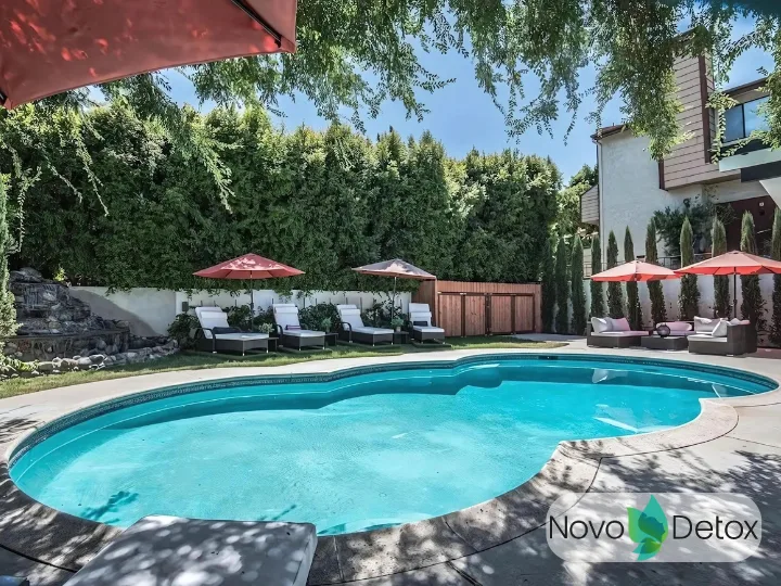 Novo Detox - 照片 2