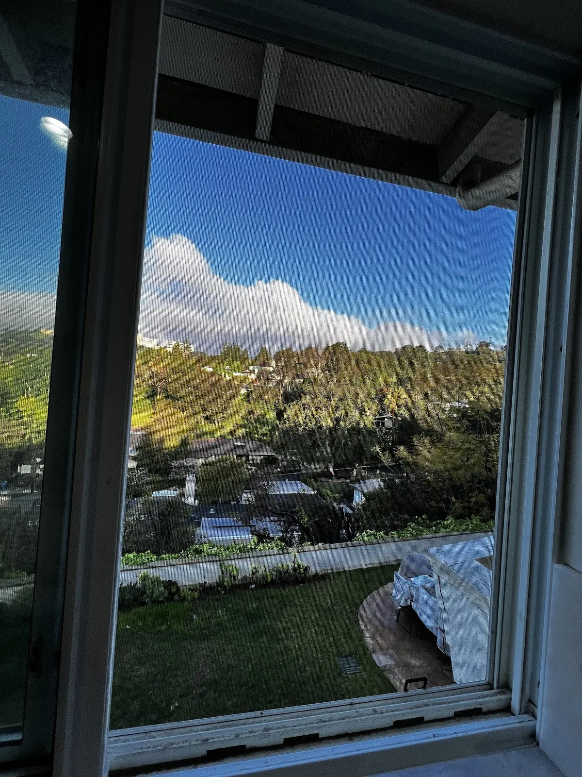 Novo Detox - 照片 4