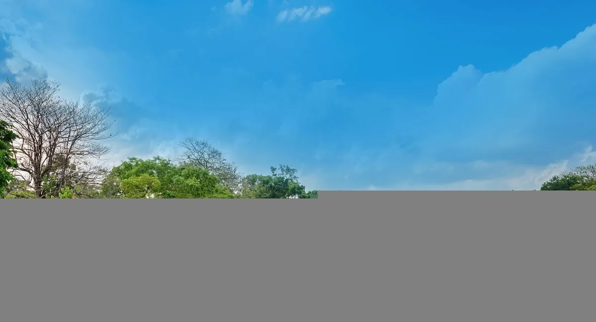 New Life House -Sober Living Homes in Los Angeles - Photo 4