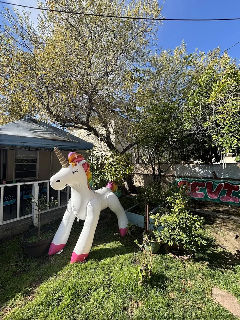 REVIVE Detox - Photo 5