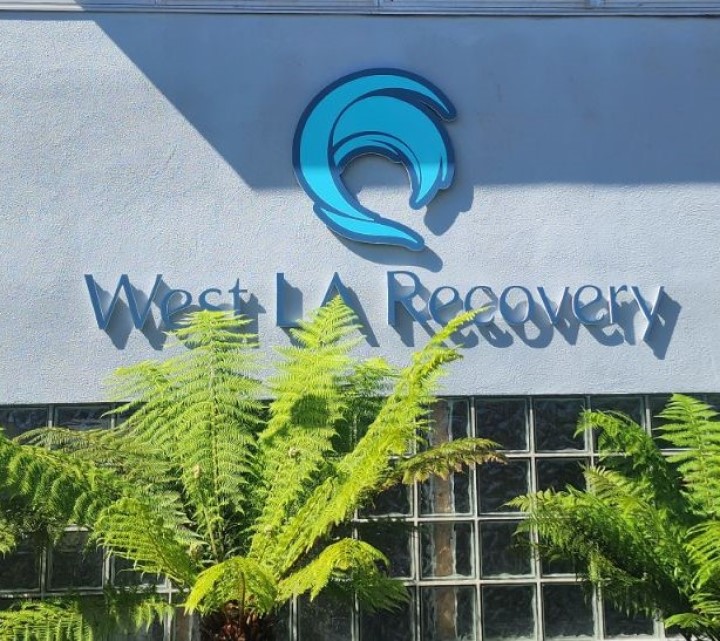 West LA Recovery - Photo 1