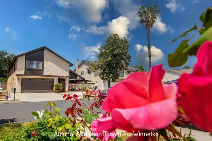 Maple Moon Recovery - Ảnh 1