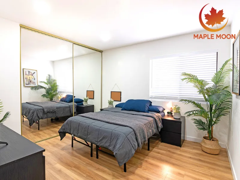 Maple Moon Recovery - Ảnh 3