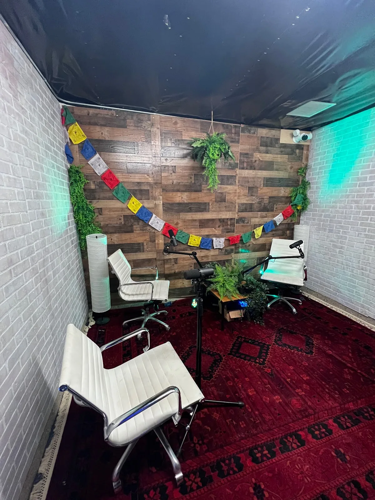 NOHO Recovery - Foto 2