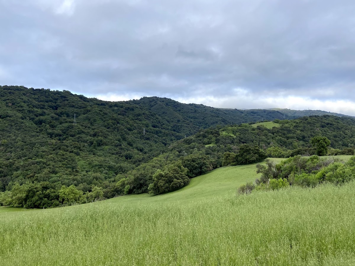 Rancho SAN Antonio