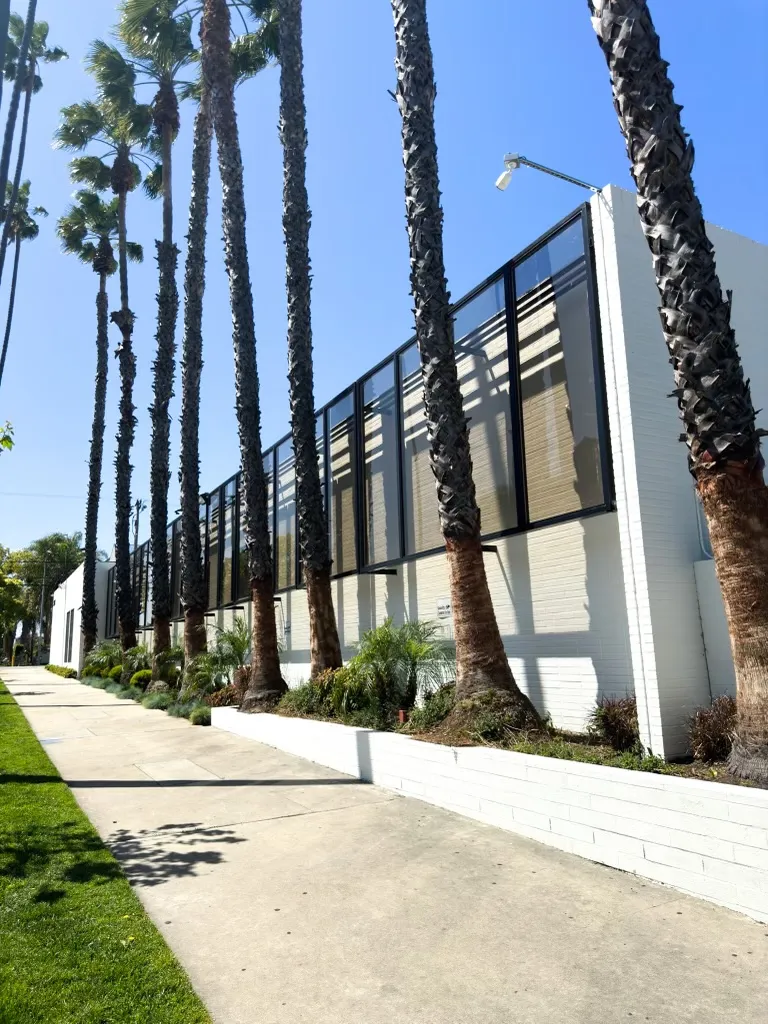 The Rehabilitation Center on Pico - Photo 1